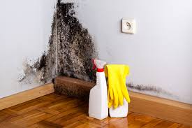 Best Dehumidification Services  in Alliae, NC